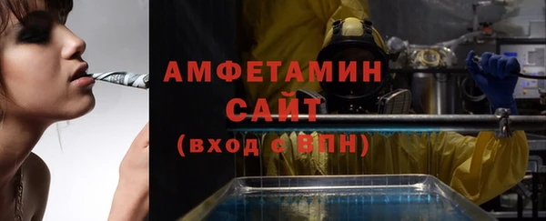 гидра Аркадак