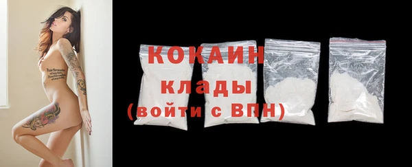 тгк Арсеньев