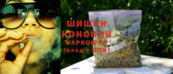 гидра Аркадак