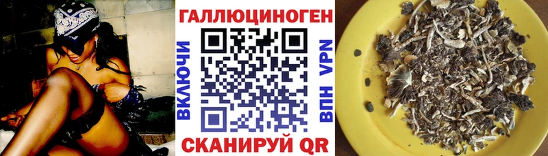 Галлюциногенные грибы MAGIC MUSHROOMS  как найти наркотики  Курганинск 
