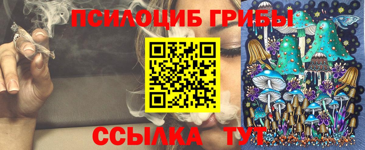 Курганинск  Галлюциногенные грибы мухоморы  что такое   Вход с VPN 