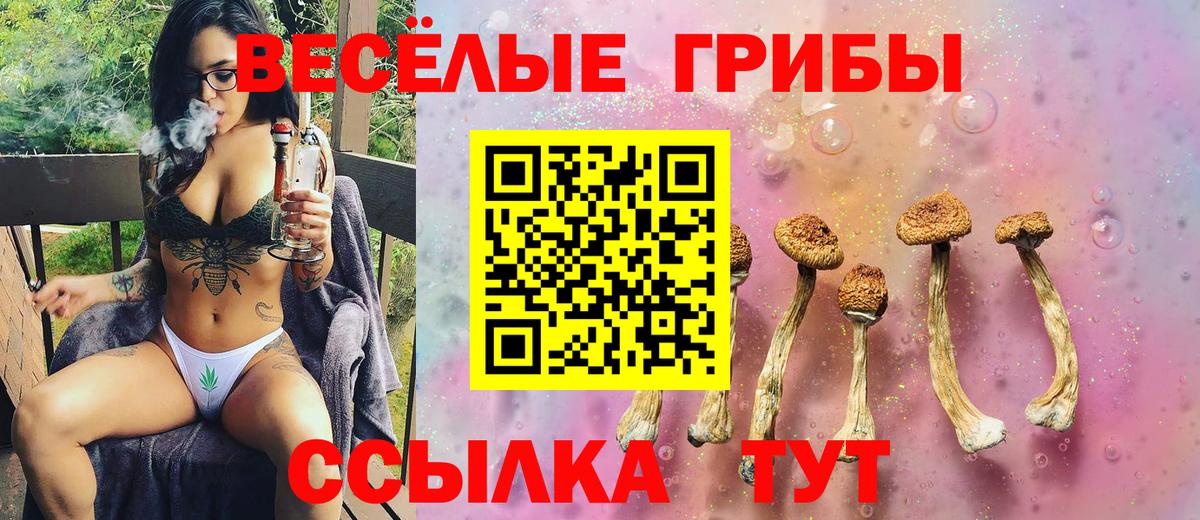 Псилоцибиновые грибы ЛСД Курганинск